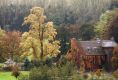 Aachener Wald bei Gut Schöntal (c) Stadt Aachen / Andreas Herrmann