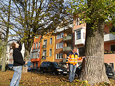 Zwei Mitarbeiter der Baumkontrolle auf einem Parkstreifen