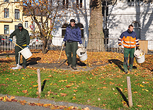 Drei Mitarbeiter der Parkanlagenpflege reinigen eine Parkwiese