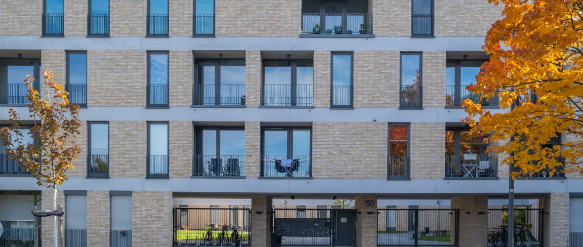House front with exit and an autumn-colored tree on the right side