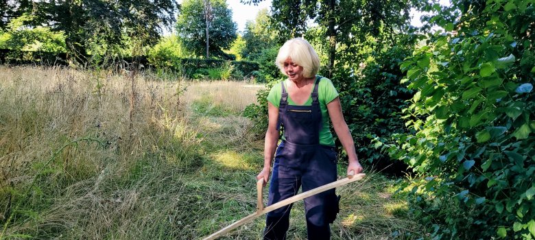 Mowing with the hand scythe