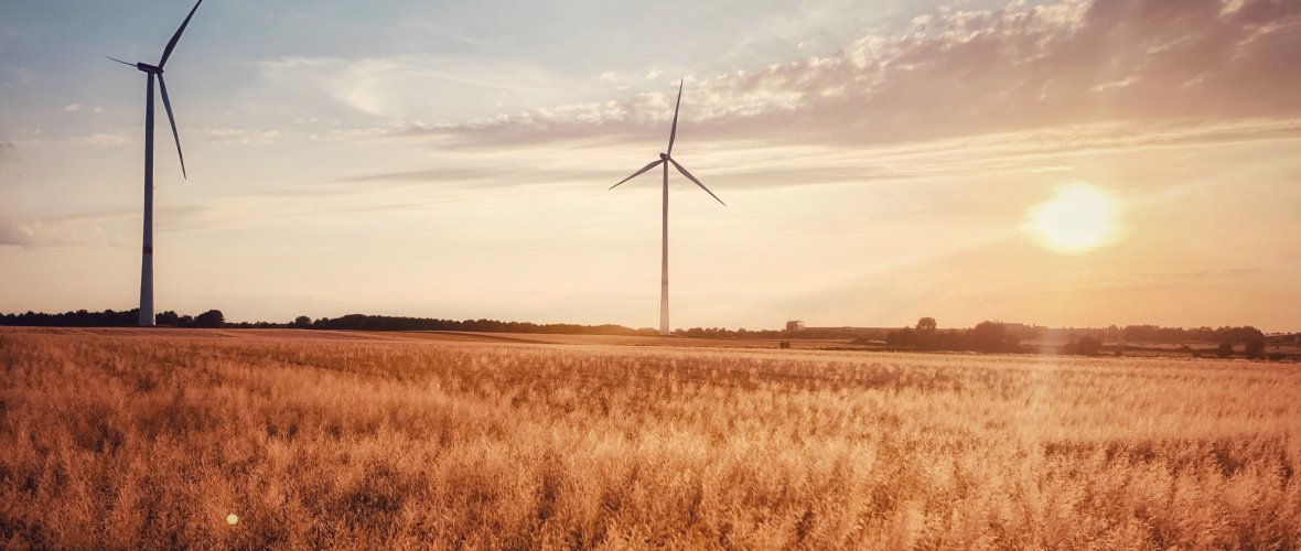 Two wind turbines stand in a field and the sun shines down on them.