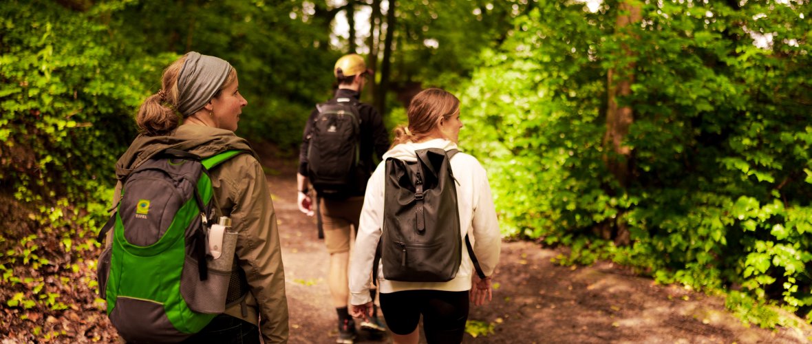 3 people hiking in the forest