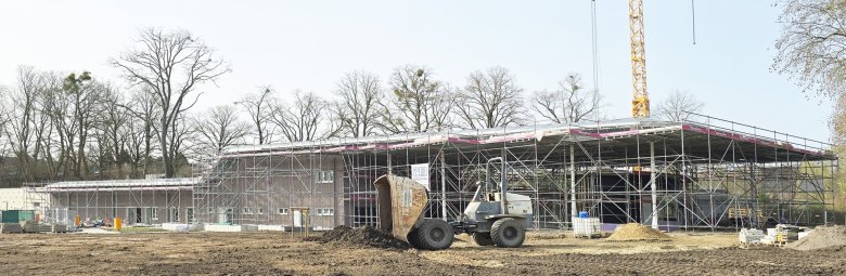 Scaffolding for the roof work and restoration of the meadow area
