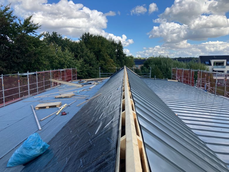 Zinkarbeiten2_c_E26_2008_08 Zinc work on the roof ridge