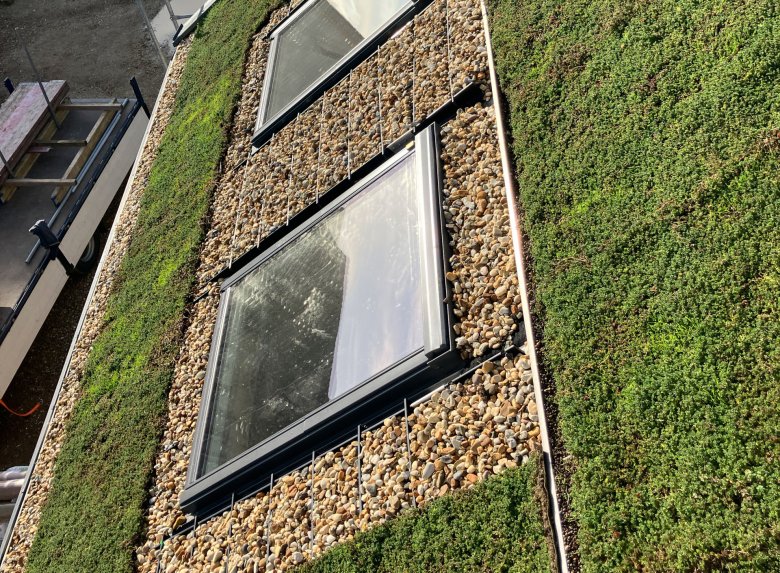 The skylights in the staff area