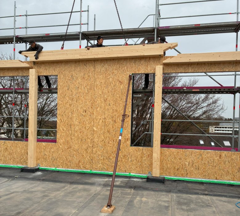 Additional supports and beams are installed.