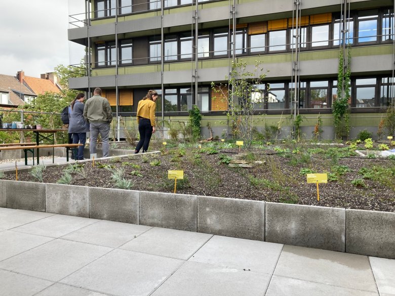 Inspection of the roof as part of the "Open Roof Garden Week"