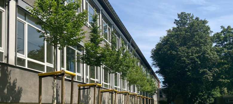 Façade trees on the south façade of GGS Walheim