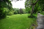 Green space in summer with trees in the background, footpath in the section on the right