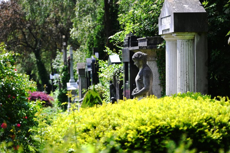 A row of towering gravestones from the center of the picture to the background. Yellow and green flowering bushes in the foreground