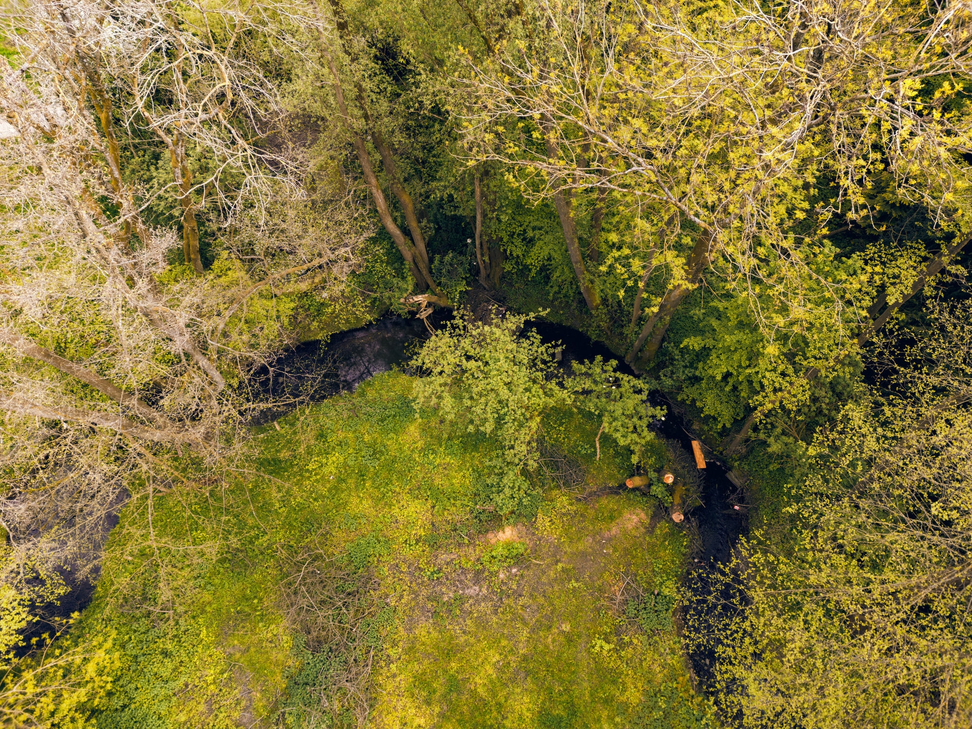 Aerial view of the Haarbach in Eilendorf