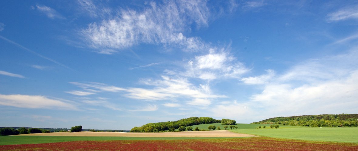 The Schneeberg with a blue cloudy sky and sunshine. Fields can be seen in the foreground.