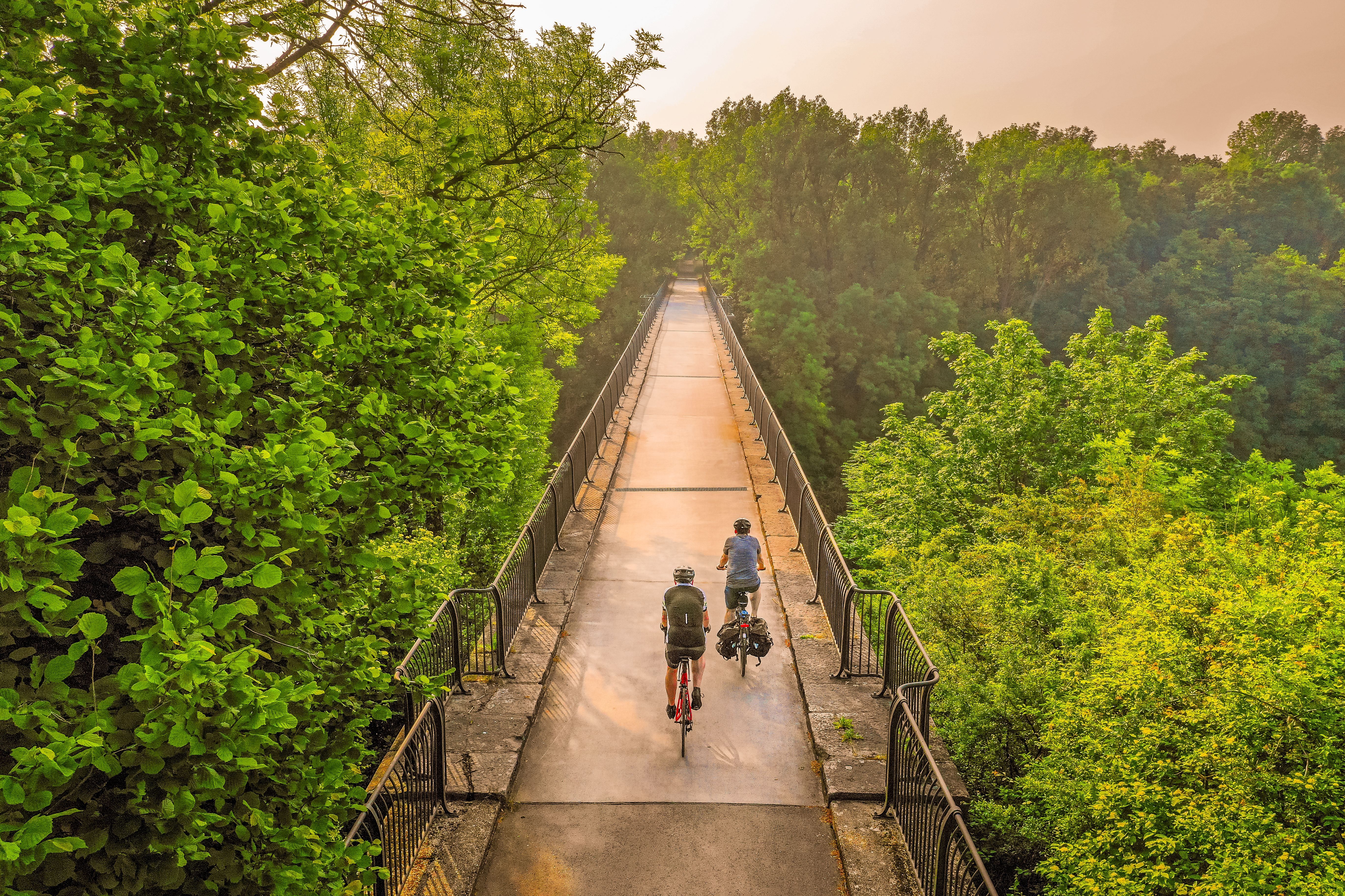 Two people are cycling on a bridge (viaduct) towards the sun. The bridge is surrounded by many tall trees.