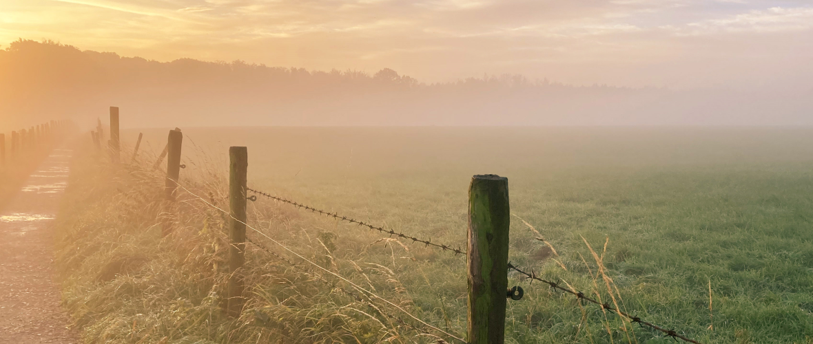 Sunset over fields with lots of fog.
