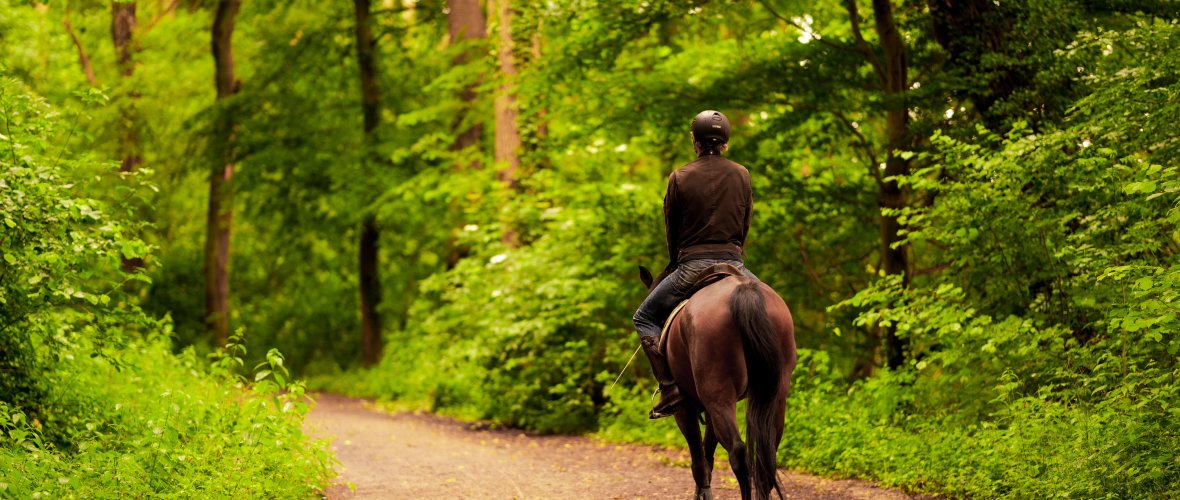 Person riding along a forest path.