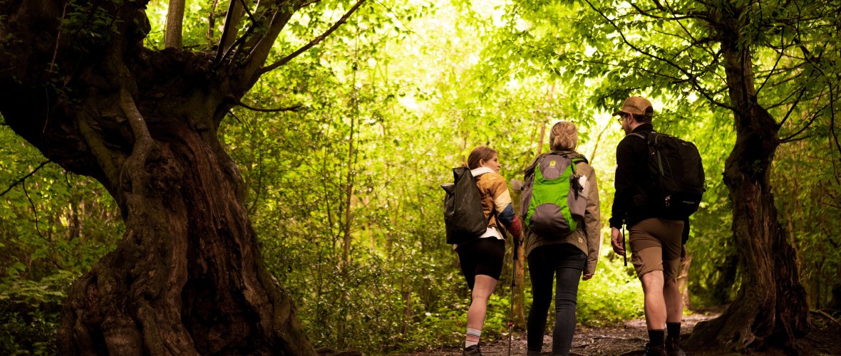 Hiking group is out and about in the Aachen forest.