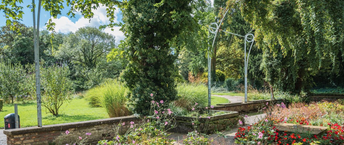 View of the city garden with blooming flowers and vines.