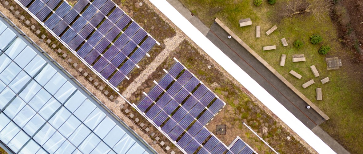 Roof of a building with greenery and solar panels