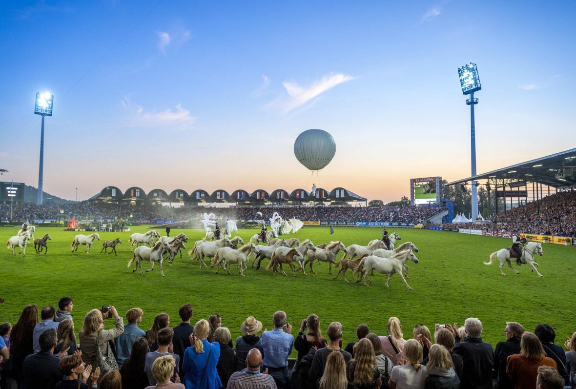 Photo on the CHIO grounds with green meadow, audience and horses.