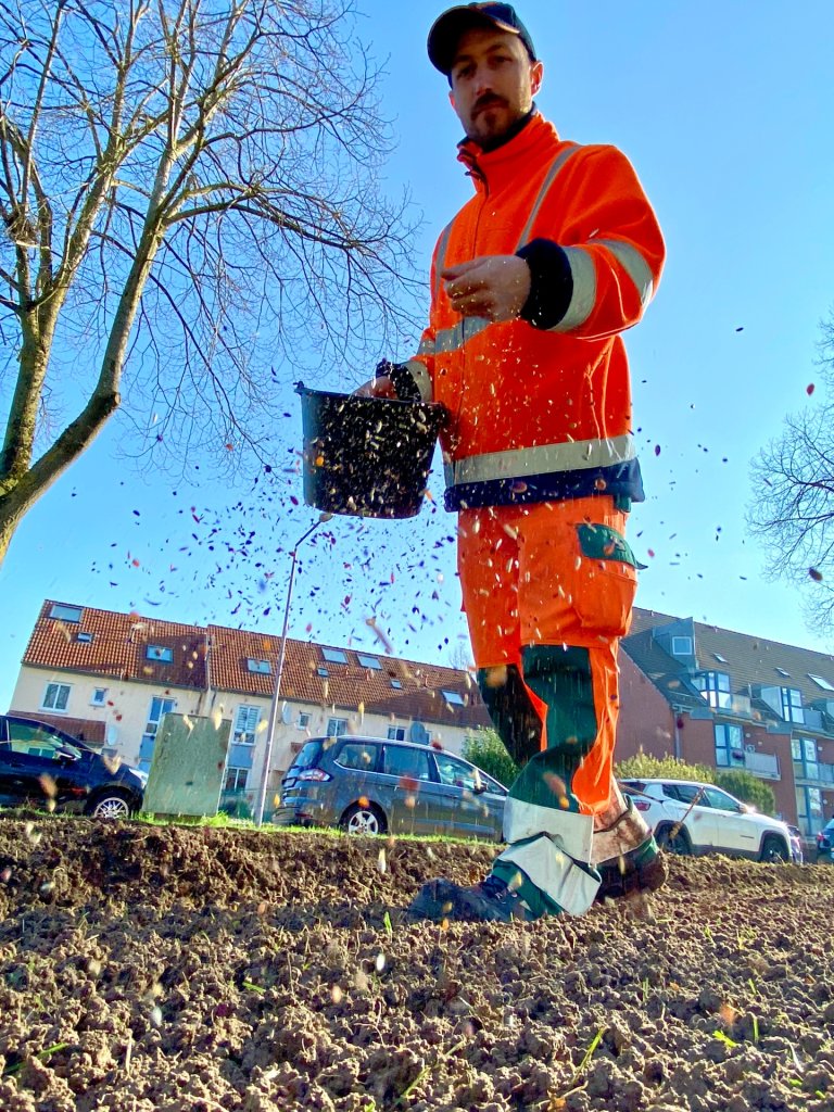 A man in work clothes scatters seeds in the soil