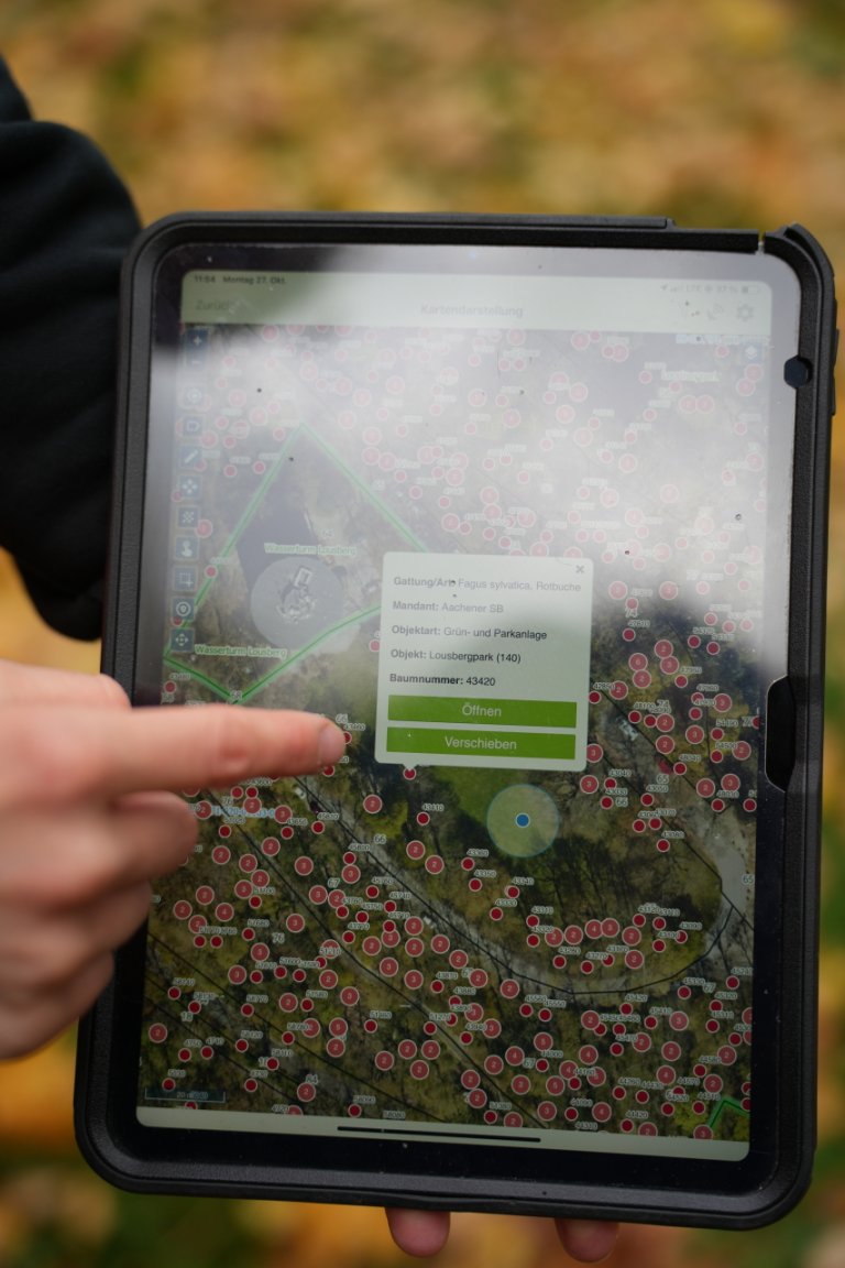 An overview map on a tablet shows a section of the Lousberg and the trees recorded there.