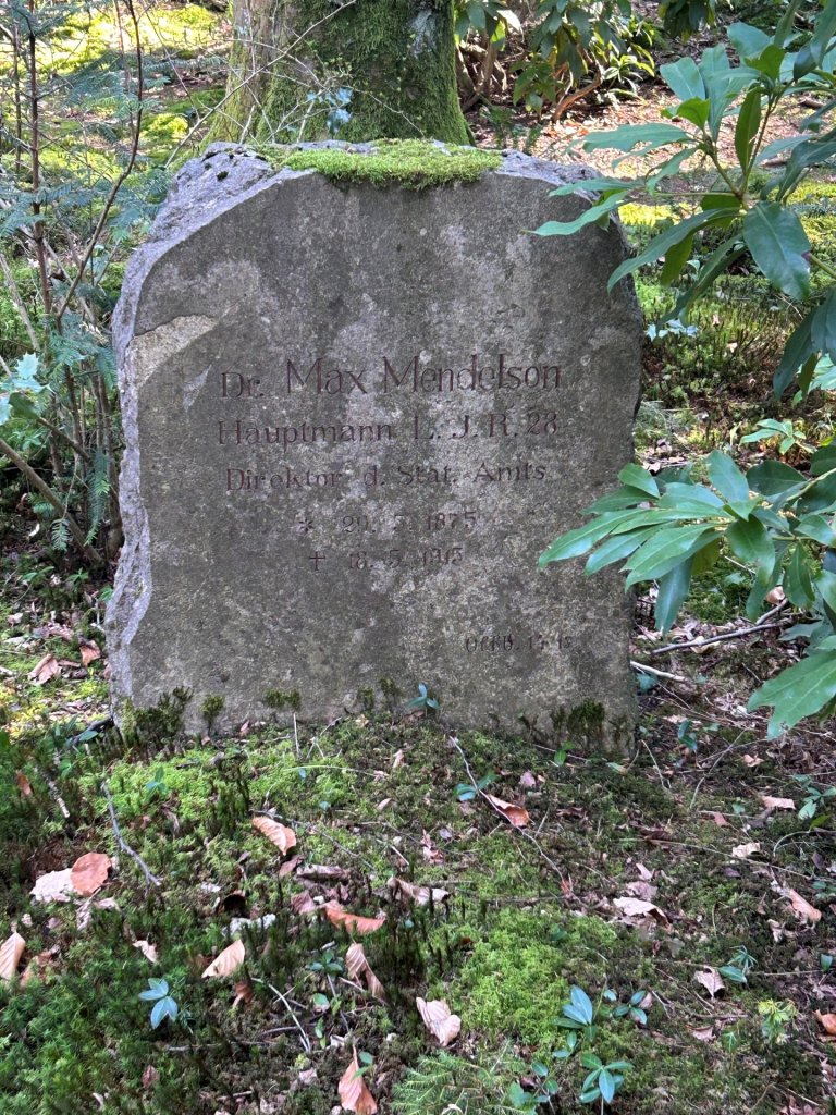 A gravestone with the inscription "Dr. Max Mendelson." Bushes and plants in the background.