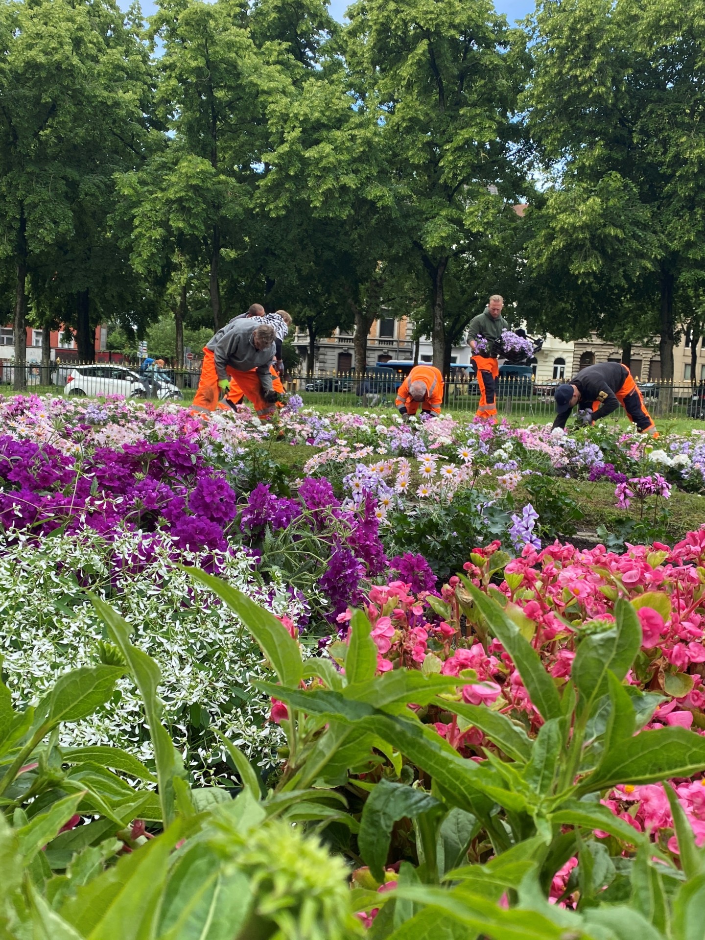 City employees are planting flowers in flower beds
