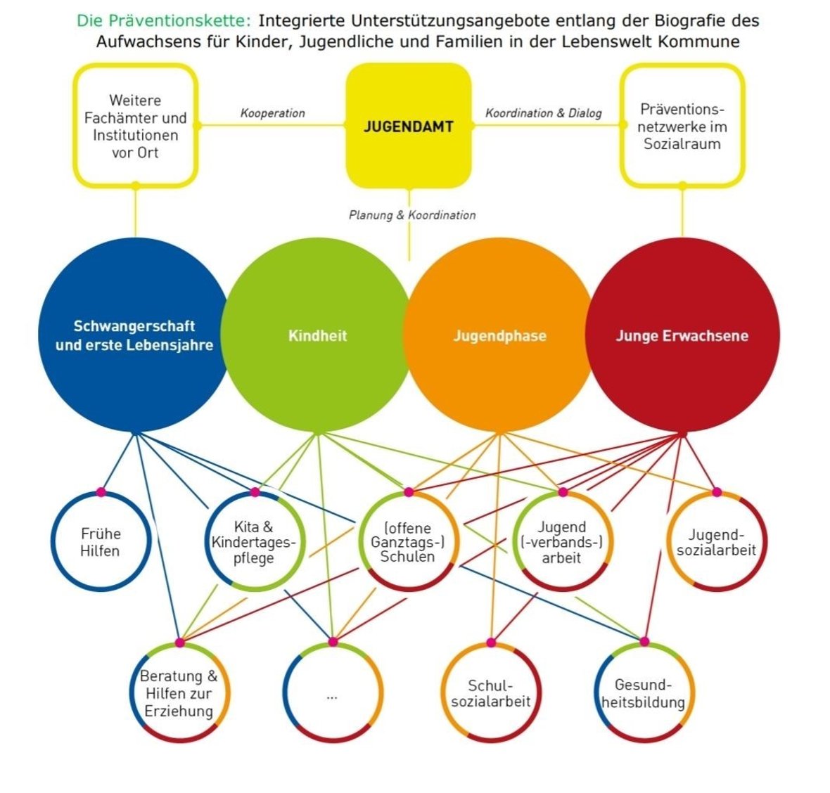 Schéma de la chaîne de prévention communale : le service de la jeunesse coordonne entre les services spécialisés et les institutions sur place ainsi que les réseaux dans l'espace social différents domaines thématiques pertinents : Grossesse et premières années de vie (aide précoce, conseil et aide à l'éducation et éducation à la santé), enfance (garderie et soins de jour pour enfants, écoles ouvertes à temps plein, travail associatif pour la jeunesse et éducation à la santé), phase de jeunesse (conseil et aide à l'éducation, écoles ouvertes à temps plein, travail social à l'école, éducation à la santé et travail social pour la jeunesse) et jeunes adultes (écoles ouvertes à temps plein, travail associatif pour la jeunesse et éducation à la santé, travail social pour la jeunesse, conseil et aide à la grossesse, travail social à l'école et éducation à la santé).