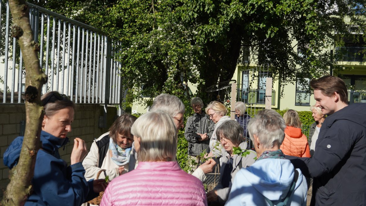 Les visiteurs* regardent différentes herbes dans le jardin de l'église pendant une visite guidée.