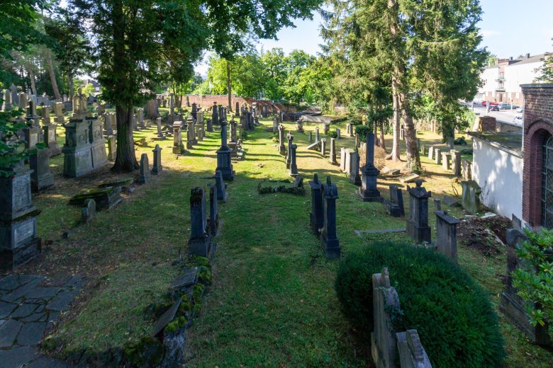 Vue d'ensemble des pierres tombales du cimetière juif. On voit plusieurs rangées de pierres tombales avec des arbres entre elles.