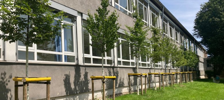 Arbres de façade sur la façade sud de GGS Walheim