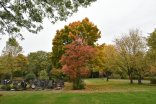 Au centre, des arbres avec des feuilles d'automne, à gauche, des rangées de tombes, à droite et au premier plan, une prairie.