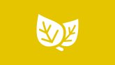 Climat Des feuilles blanches comme proctogramme du climat sur un fond jaune.