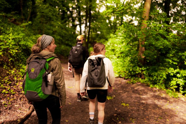 Groupe de marche de trois personnes dans la forêt d'Aix-la-Chapelle.