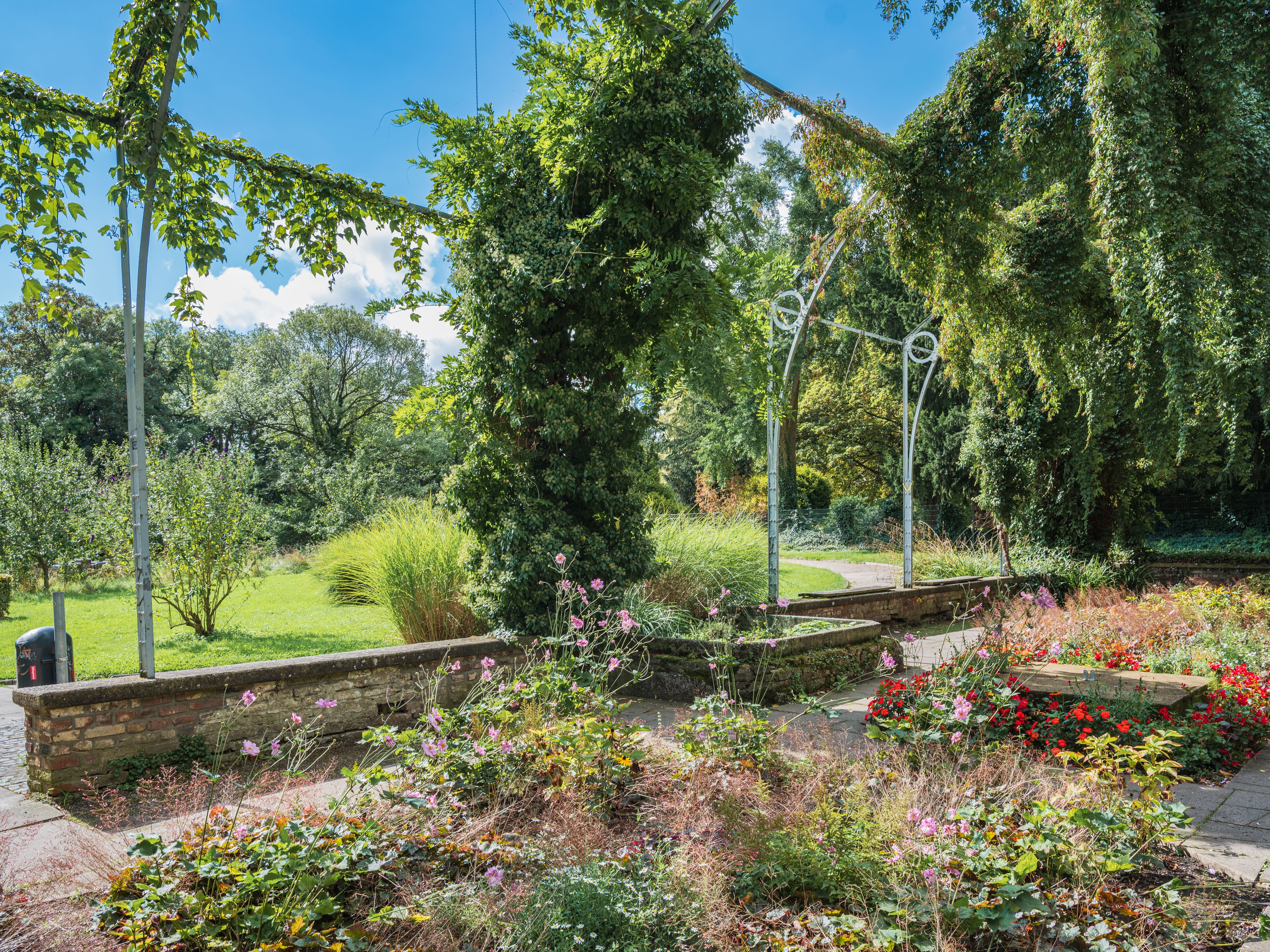 Vue du jardin de la ville avec des fleurs en fleurs et des buissons d'arbustes.