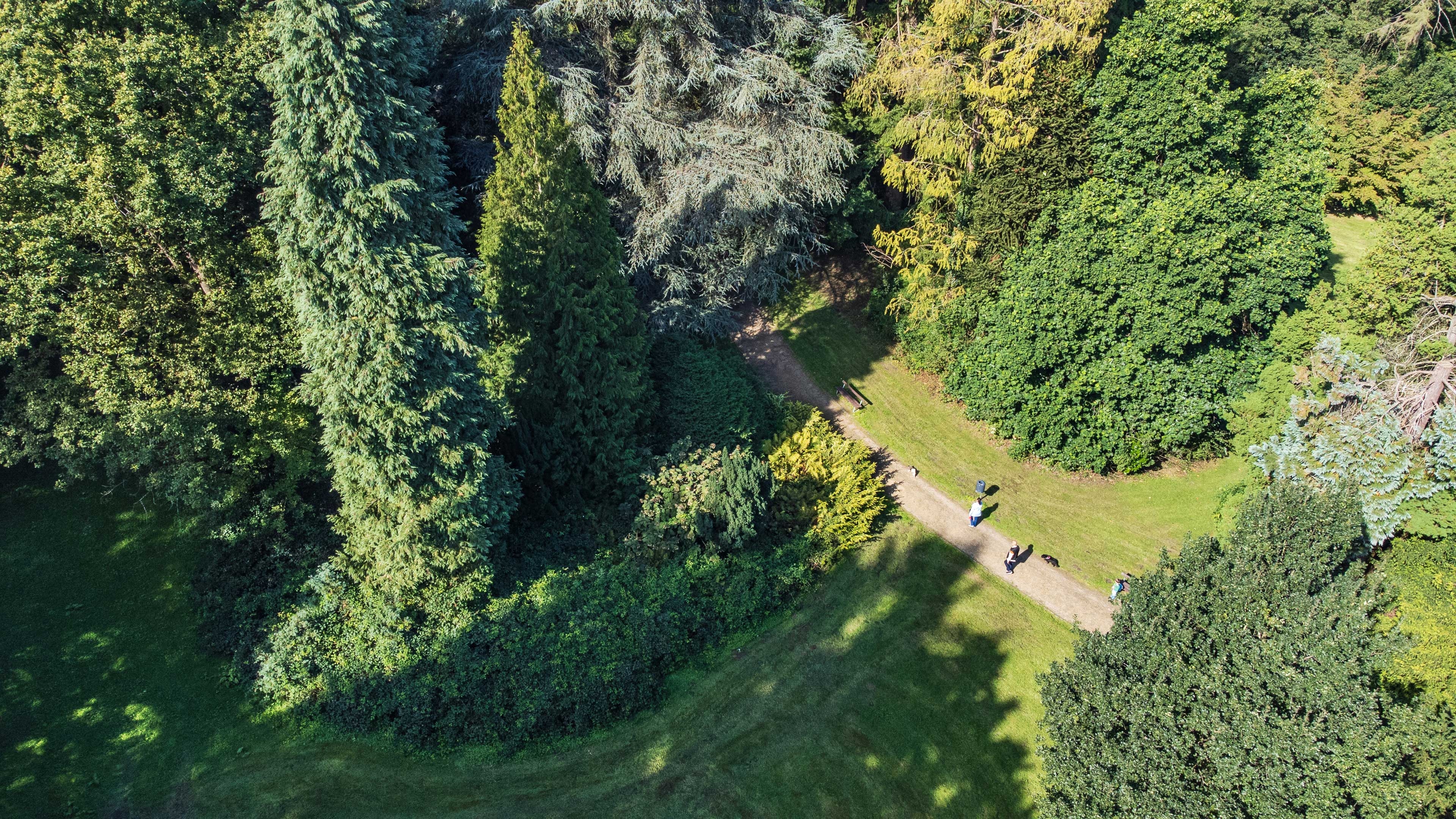 Le parc de Halfern Vue par drone du parc vert Von Halfern à Aix-la-Chapelle avec des gens sur le chemin qui serpente.