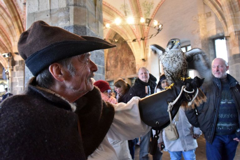 Participe à l'animation médiévale de l'hôtel de ville d'Aix-la-Chapelle : la chevalerie limbourgeoise et Arnd Jansen avec son faucon Saker.