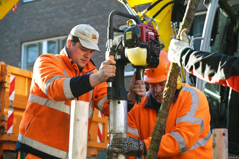 Service municipal, plantation d'arbres, rue Leydel