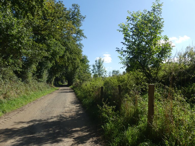 Une section du vieux chemin Heerler avec des arbres et des arbustes.