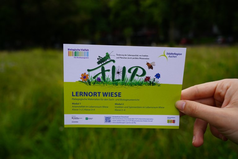 Une carte postale du projet FLIP