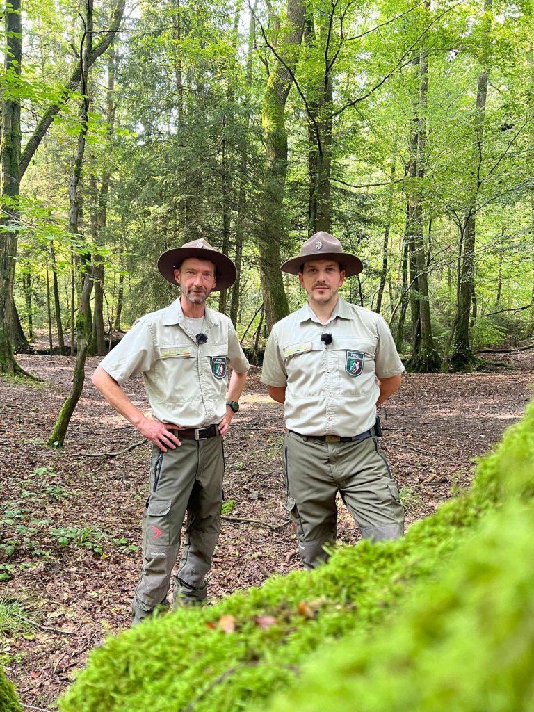 Deux hommes dans la forêt