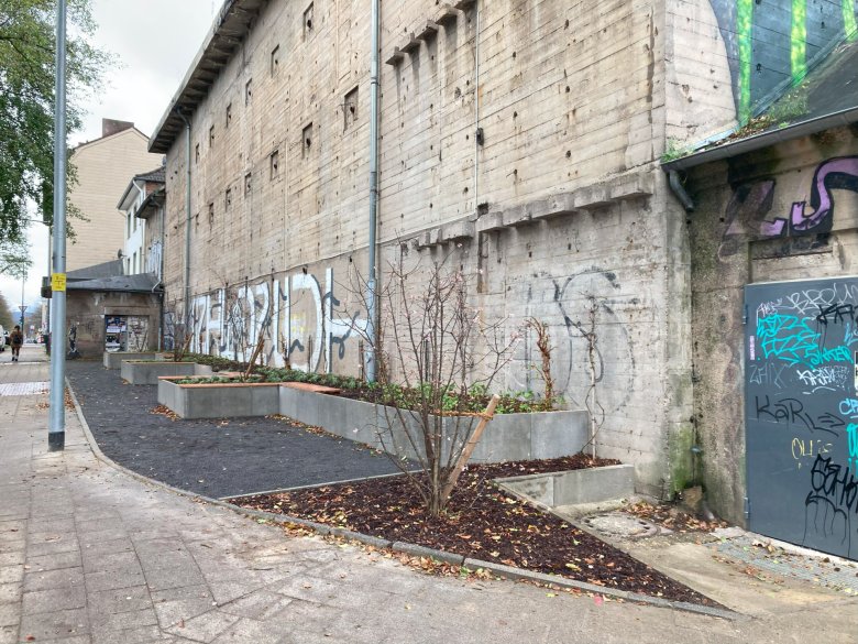 Vier meerstammige bomen domineren straks het ontwerp van het voorplein, naast het uitgebreide groen aan de gevel.