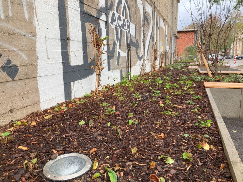 Vloerverlichting maakt de unieke gevel 's avonds zichtbaar