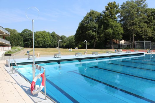 Hangeweiher_Becken_c_E26_2018 Bekkens en springbokken