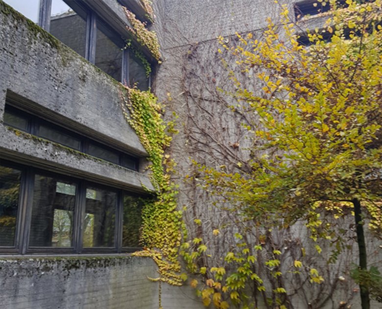 Bestaande foto van de buitenmuur