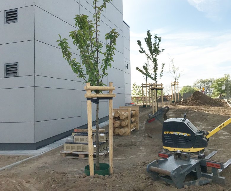 Er wordt momenteel gewerkt in de buitenruimte. De bomen zijn geplant.