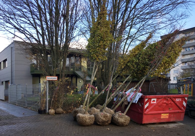 De planten werden geleverd.