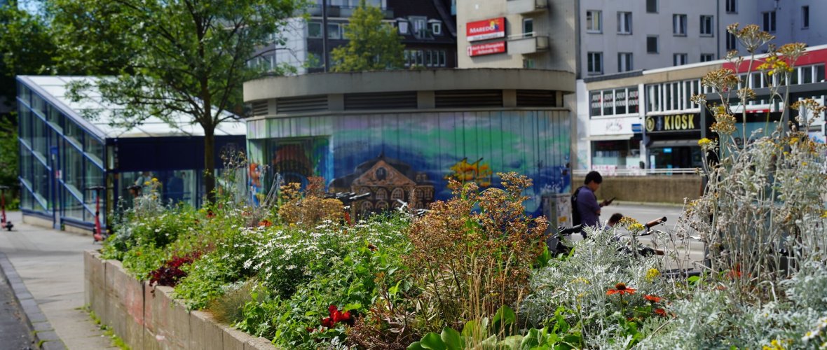 Afbeelding van een groen busstation