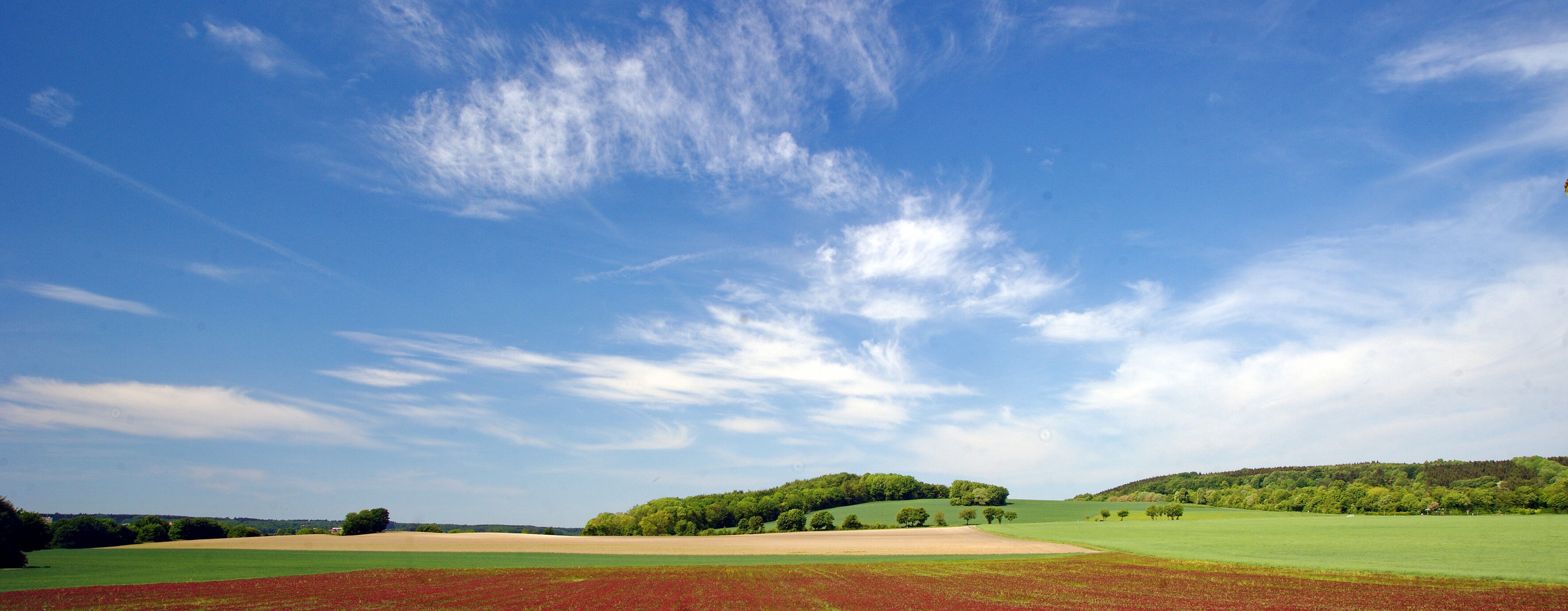 De Schneeberg met een blauwe wolkenlucht en zonneschijn. Op de voorgrond zijn velden te zien.